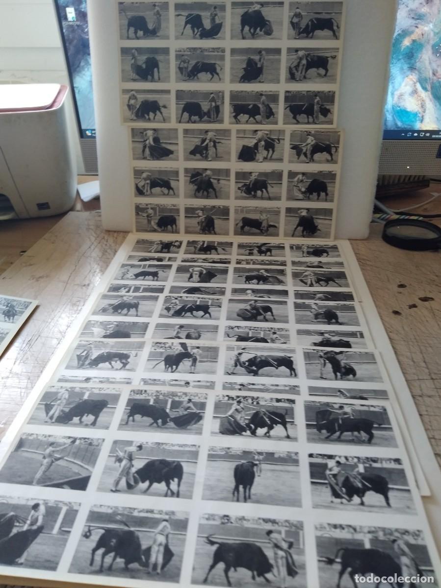 Tauromaquia: LOTE DE FOTOS TAURINAS P. BUFALO SERIE 1 AL 10 CADA UNA 12 F. CON MANOLETE - ARRUZA