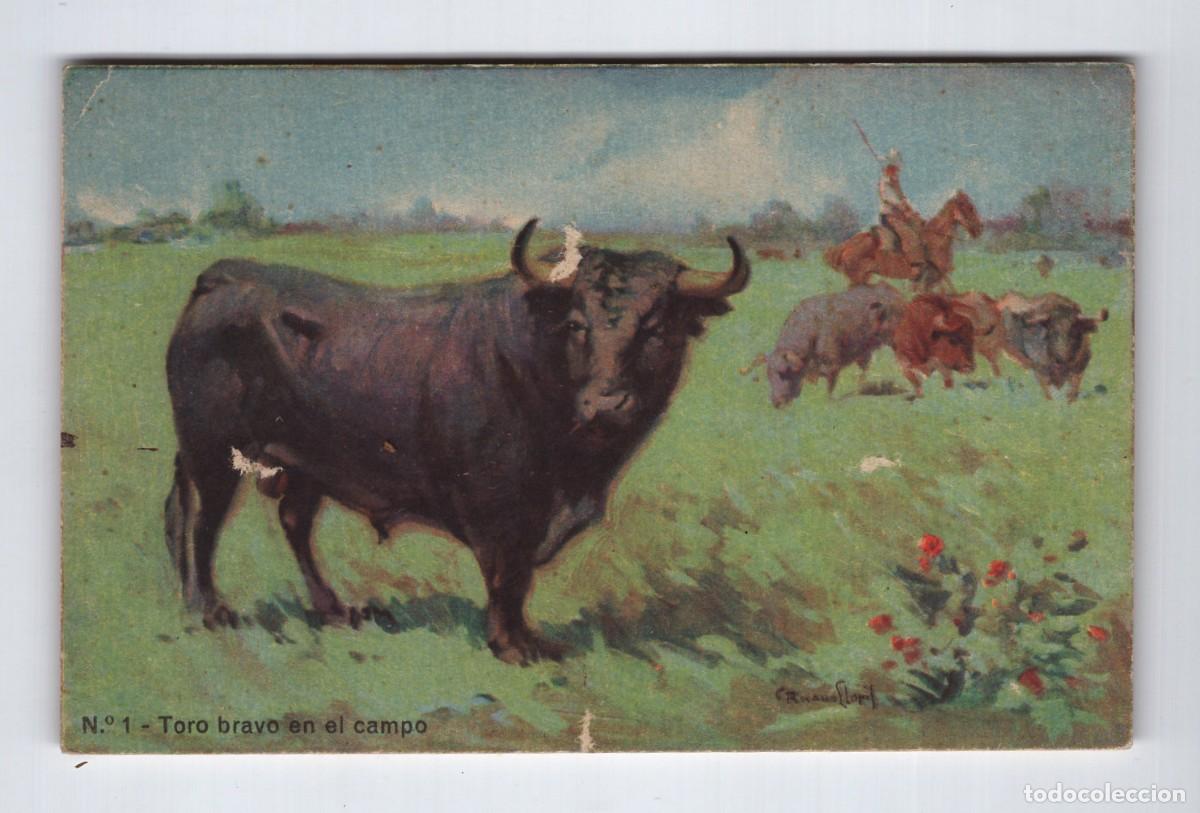 Tauromaquia: Postal Taurina. N&ordm; 1 Toro Bravo en el Campo. Ilustraci&oacute;n de Ruano Llopis -Edici&oacute;n Bernard Sirven-