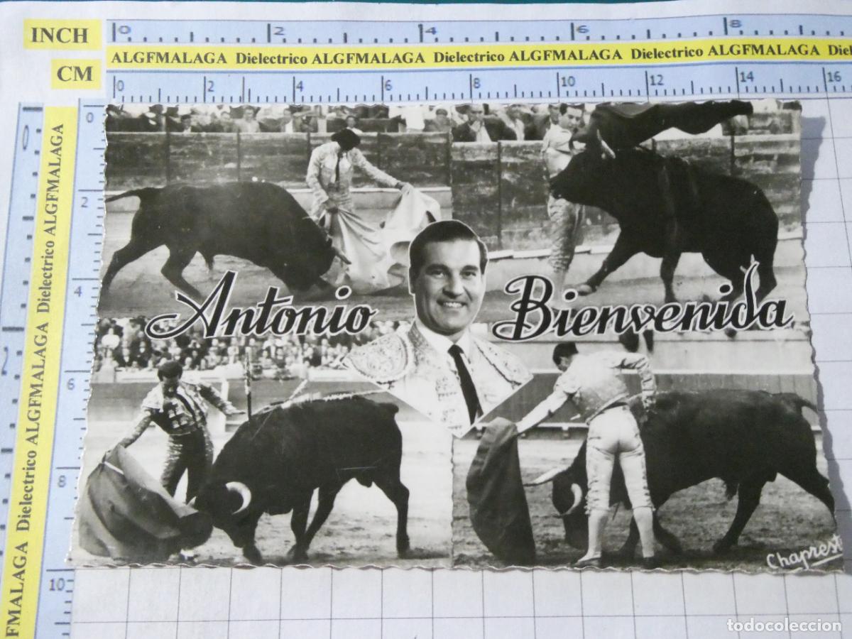 Tauromaquia: POSTAL DE TOROS TOREROS TAUROMAQUIA. TORERO ANTONIO BIENVENIDA 189 CHAPRESTO. 397