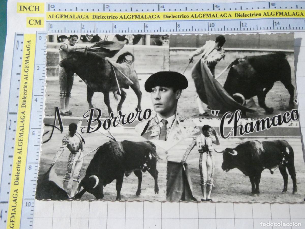 Tauromaquia: POSTAL DE TOROS TOREROS TAUROMAQUIA. TORERO BORRERO CHAMACO 186 CHAPRESTO. 401