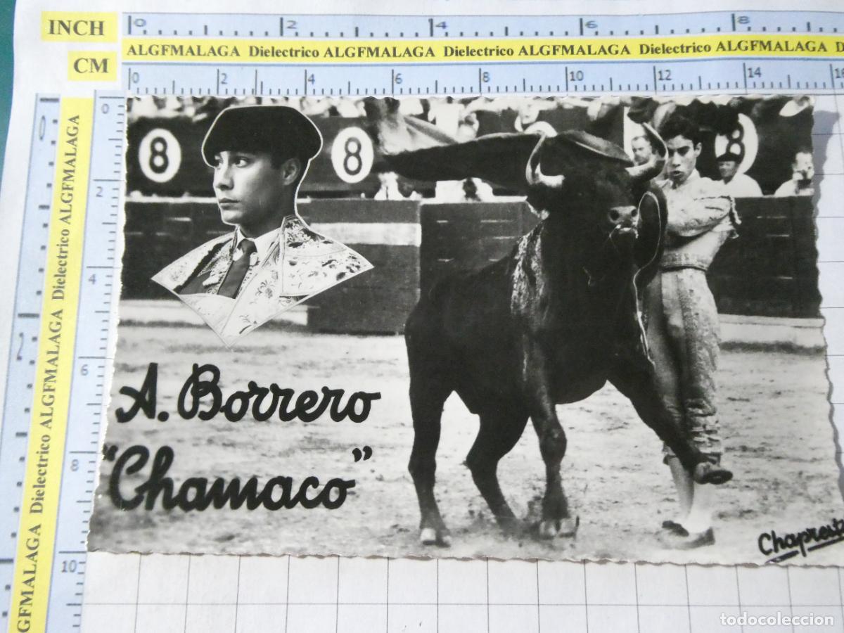 Tauromaquia: POSTAL DE TOROS TOREROS TAUROMAQUIA. TORERO BORRERO CHAMACO 194 CHAPRESTO. 402