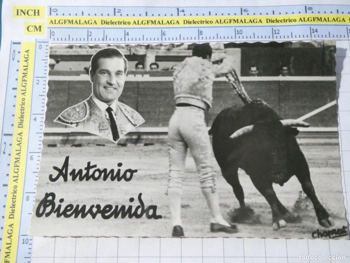 Tauromaquia: POSTAL DE TOROS TOREROS TAUROMAQUIA. TORERO ANTONIO BIENVENIDA 193 CHAPRESTO. 403