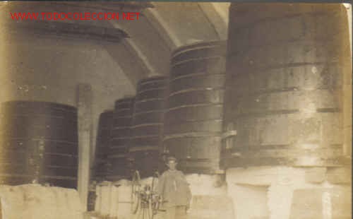 Coleccionismo de vinos y licores: TARJETA POSTAL.. - Foto 1