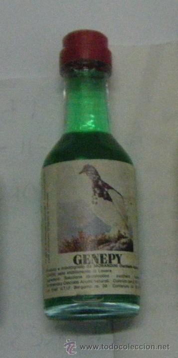Coleccionismo de vinos y licores: BOTELLIN DE LICOR GENEPY. DESTILERIAS MORANDINI. ITALIA.    RF-199