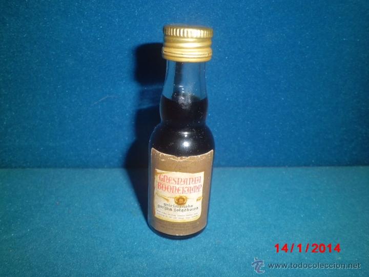 Coleccionismo de vinos y licores: RARO BOTELLIN DE LICOR GNESNANIA BOONEKAMP