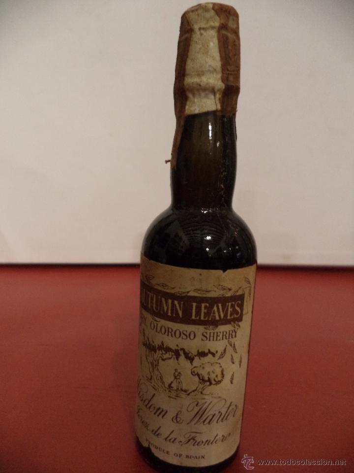 Coleccionismo de vinos y licores: BOTELLIN DE VINO DRY OLOROSO SHERRY AUTUMN LEAVES. BODEGA WISDOM & WARTER. JEREZ DE LA FRONTERA.