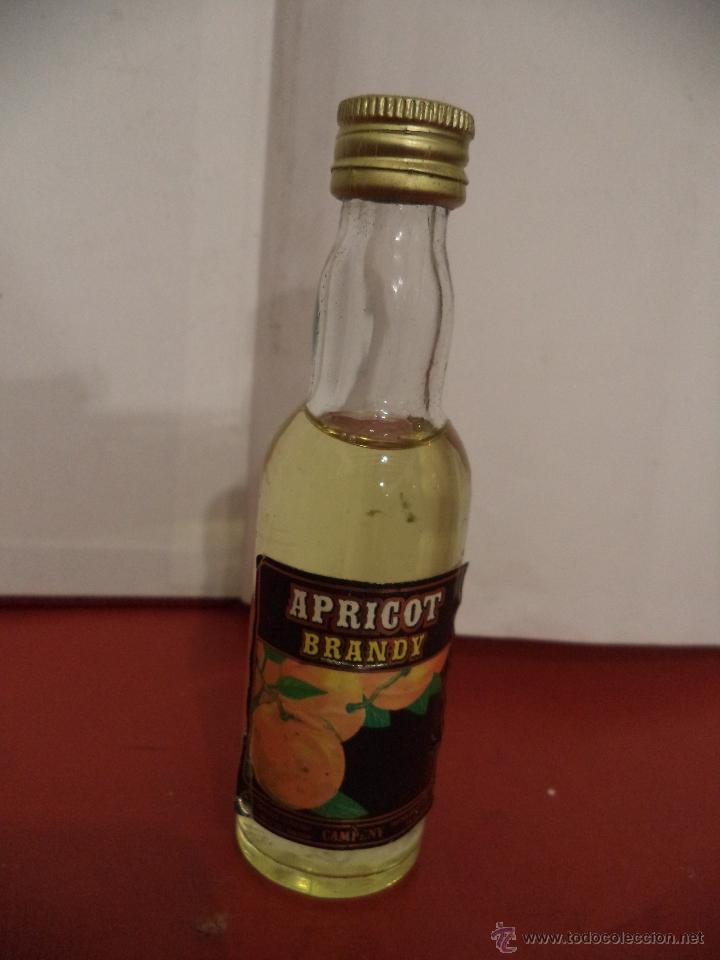 Colecionismo de vinhos e licores: BOTELLIN APRICOT BRANDY. CAMPENY. BARCELONA.