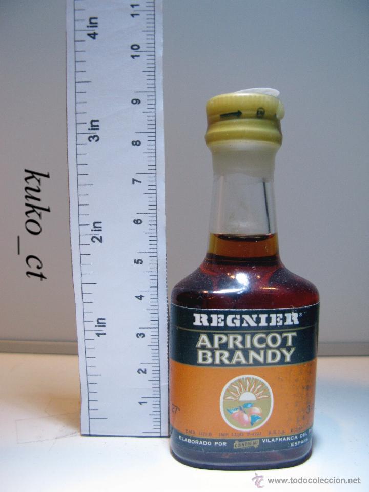 Coleccionismo de vinos y licores: BOTELLITA BOTELLIN APRICOT BRANDY DESTILERIAS REGNIER