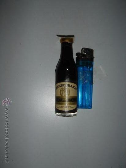 Coleccionismo de vinos y licores: Botell&iacute;n Cherry Brandy.