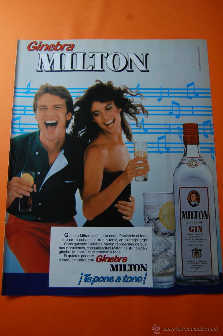 Coleccionismo de vinos y licores: PUBLICIDAD 1983 - COLECCION BEBIDAS - GINEBRA MILTON