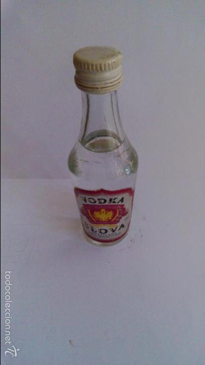Sammlung von Weinen und Lik&ouml;ren: VODKA SLOVA.