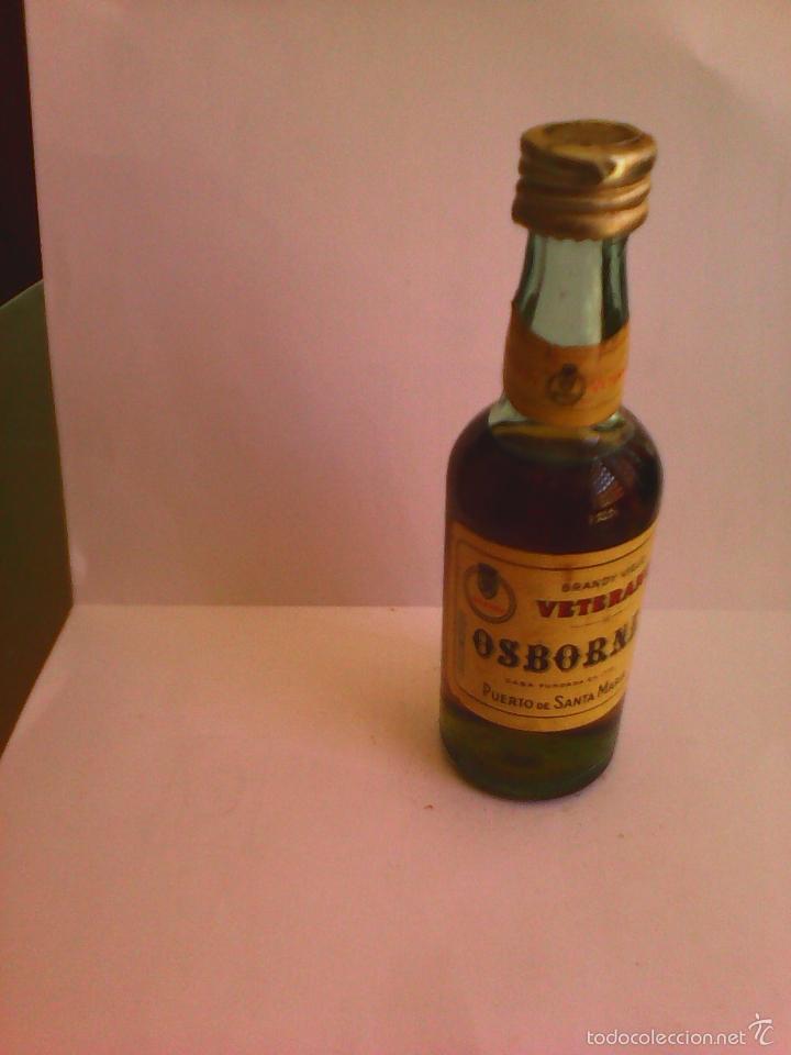 Sammlung von Weinen und Lik&ouml;ren: BOTELLIN BRANDY VIEJO VETERANO OSBORNE.