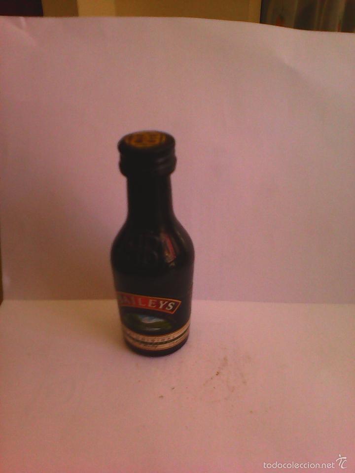 Sammlung von Weinen und Lik&ouml;ren: BOTELLIN BAILEYS. IRLANDA.