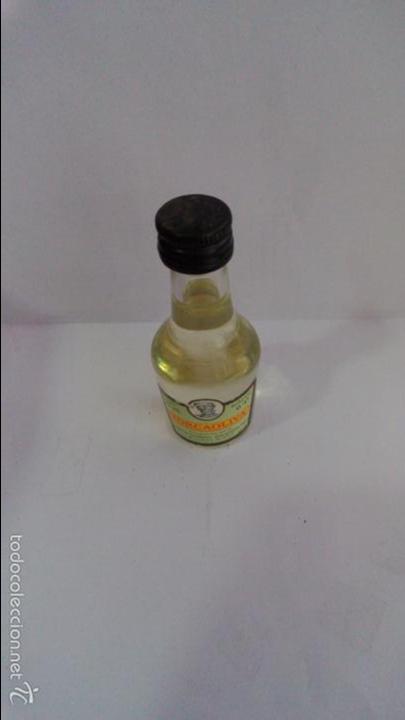 Colecionismo de vinhos e licores: BOTELLIN TORCAOLIVA. COOP LOS REMEDIOS. ANTEQUERA-MALAGA.