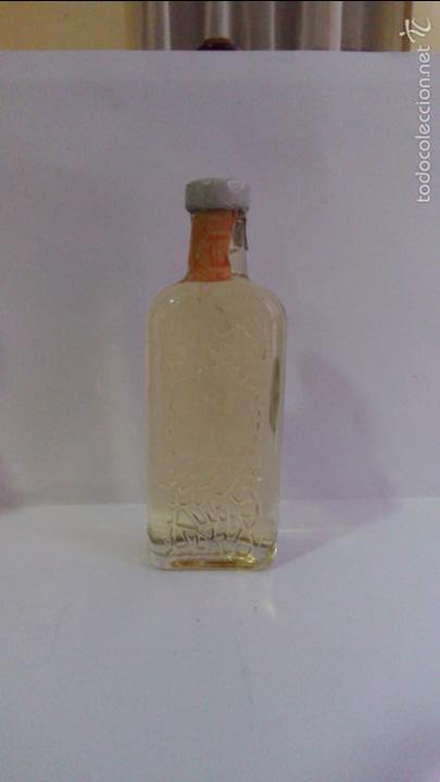 Coleccionismo de vinos y licores: BOTELLIN GINEBRA GREEN FISH. ESPA&Ntilde;A.
