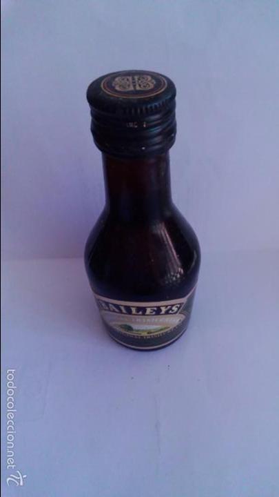 Sammlung von Weinen und Lik&ouml;ren: BOTELLIN BAILEYS. IRLANDA.
