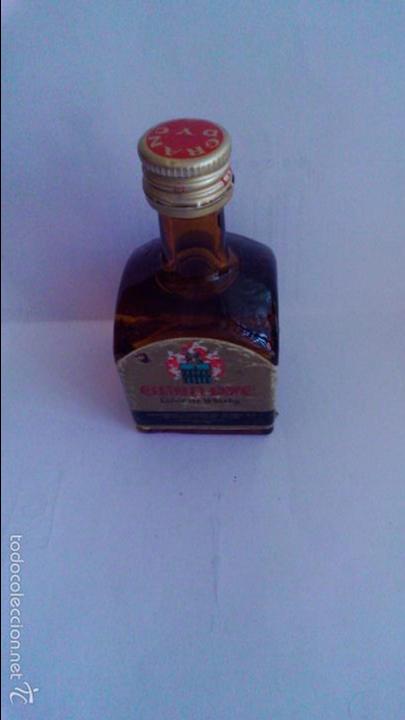 Sammlung von Weinen und Lik&ouml;ren: BOTELLIN GRAN DYC. WHISKY. DESTILERIAS Y CRIANZA DEL WHISKY S.A SEGOVIA.