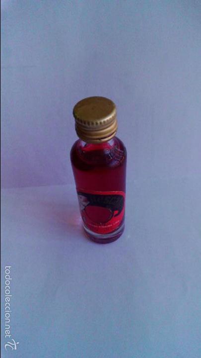 Coleccionismo de vinos y licores: BOTELLIN PESCAFIL.
