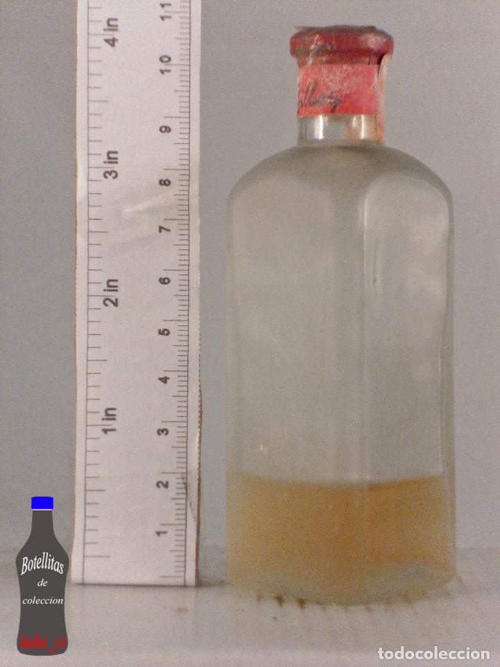 Collection of wines and liquors: BOTELLITA BOTELLIN SIN ETIQUETA GILBEY