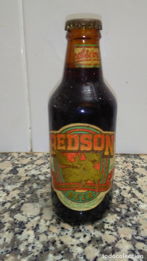 Coleccionismo de vinos y licores: BOTELLA CERVEZA REDSON BEER ETIQUETAS DE PAPEL LIQUIDO ORIGINAL CHAPA CORONA