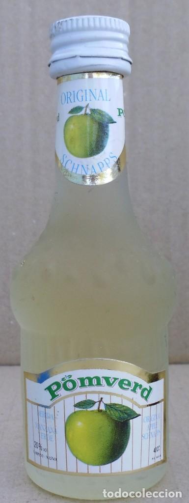 Coleccionismo de vinos y licores: BOTELLIN POMVERD - Foto 1