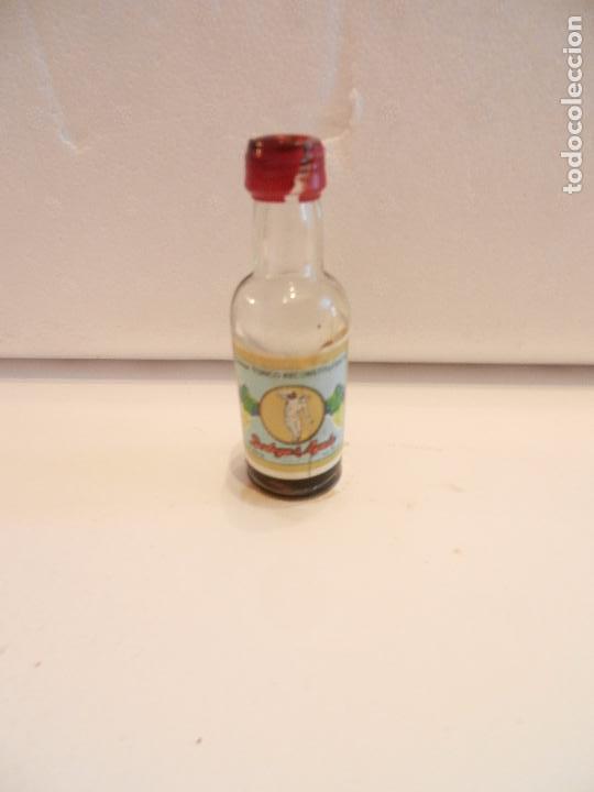 Coleccionismo de vinos y licores: BOTELLIN QUINA TONICO RECONSTITUYENTE. BODEGAS AYALA. ALICANTE.