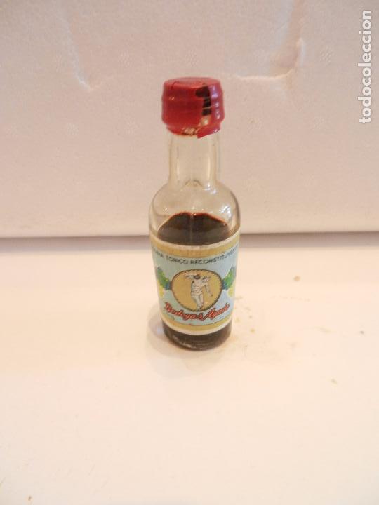 Coleccionismo de vinos y licores: BOTELLIN QUINA TONICO CONSTITUYENTE. BODEGAS AYALA. ALICANTE.