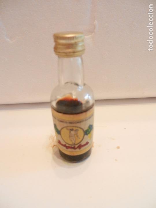 Coleccionismo de vinos y licores: BOTELLIN QUINA TONICO RECCONSTITUYENTE. BODEGAS AYALA.