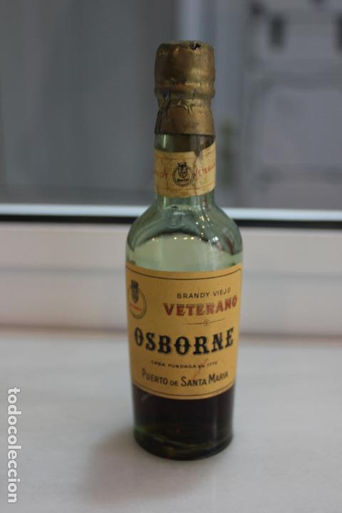 Coleccionismo de vinos y licores: BOTELLIN DE BRANDY VIEJO VETERANO OSBORNE. PUERTO DE SANTA MARIA.  12,5 CMS