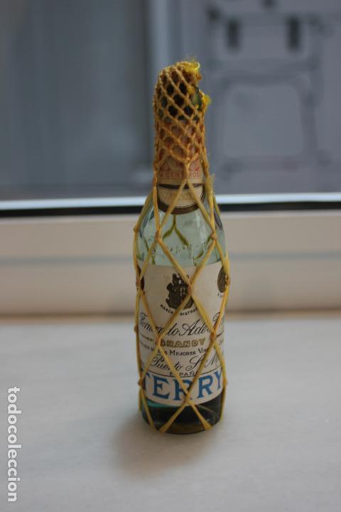 Coleccionismo de vinos y licores: BOTELLIN DE BRANDY TERRY. FERNANDO A. DE TERRY. PUERTO DE SANTA MARIA. 12 CMS