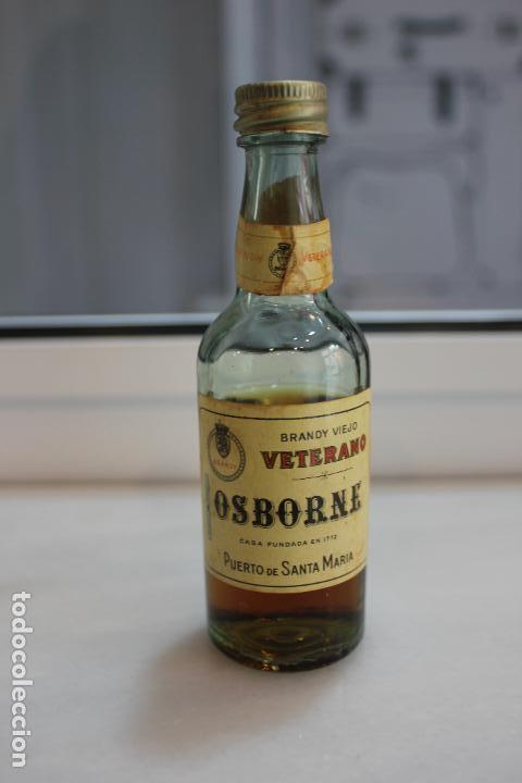 Coleccionismo de vinos y licores: BOTELLIN DE BRANDY VIEJO VETERANO OSBORNE. PUERTO DE SANTA MARIA. 12,5 CMS
