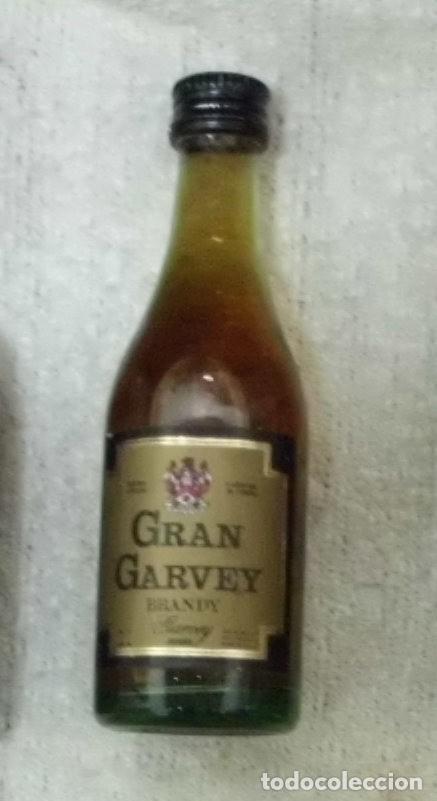 Coleccionismo de vinos y licores: BOTELLIN BRANDY GRAN GARVEY.. BODEGAS GARVEY. JEREZ RF-5250,3
