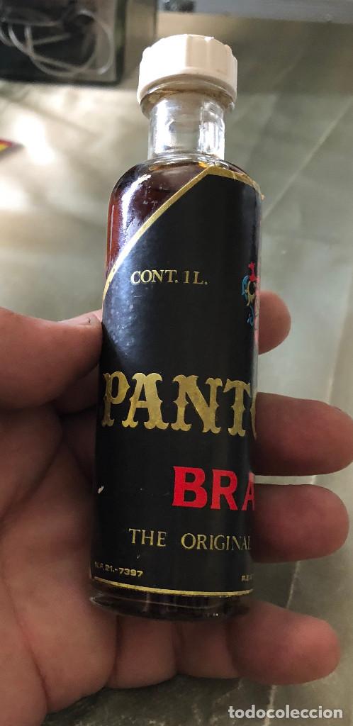 Coleccionismo de vinos y licores: Botella 10 cl. Brandy Pantojano. Huelva, Andaluc&iacute;a. A&ntilde;os 60-70. Cerrada.