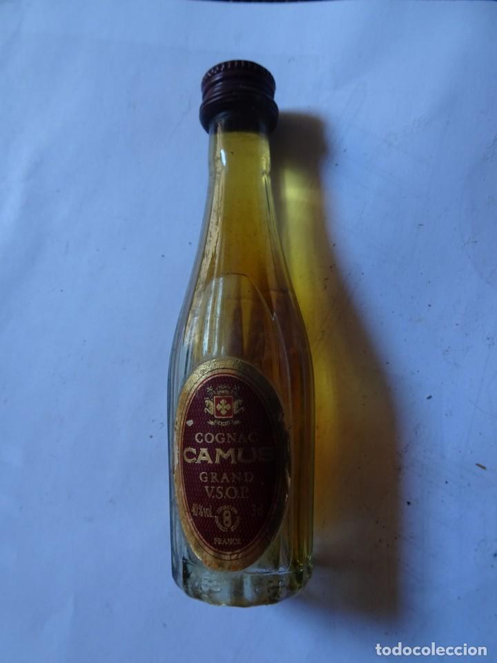 Sammlung von Weinen und Lik&ouml;ren: ANTIGUO BOTELL&Iacute;N DE COGNAC FRANCES CAMUS, VER FOTOS