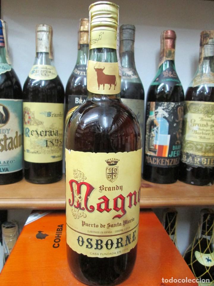 Coleccionismo de vinos y licores: ANTIGUA BOTELLA BRANDY CO&Ntilde;AC, MAGNO DE IMPUESTO DE 4 PTS, DECADA 70-80