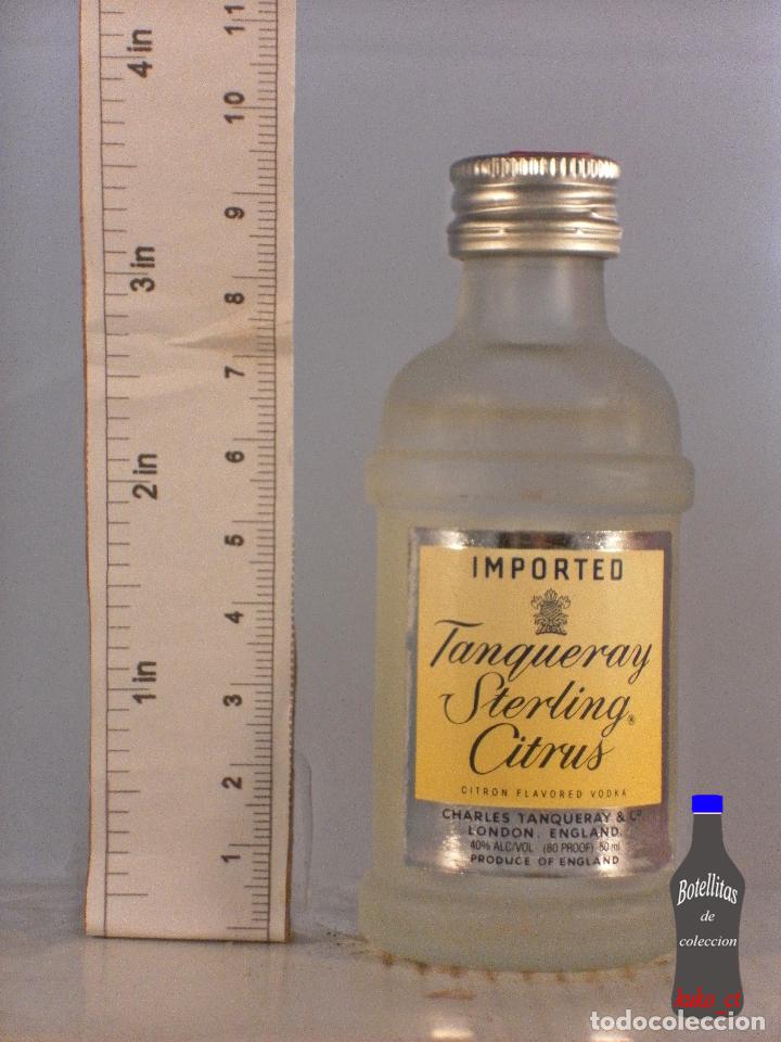 Sammlung von Weinen und Lik&ouml;ren: BOTELLITA BOTELLIN TANQUERAY STERLING CITRUS IMPORTED CHARLES TANQUERAY LONDON ENGLAND