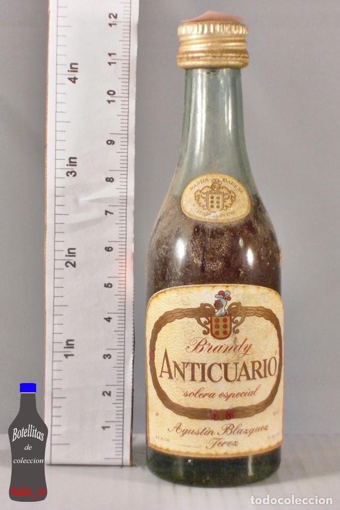 Coleccionismo de vinos y licores: BOTELLITA BOTELLIN BRANDY ANTICUARIO SOLERA ESPECIAL AGUSTIN BLAZQUEZ JEREZ