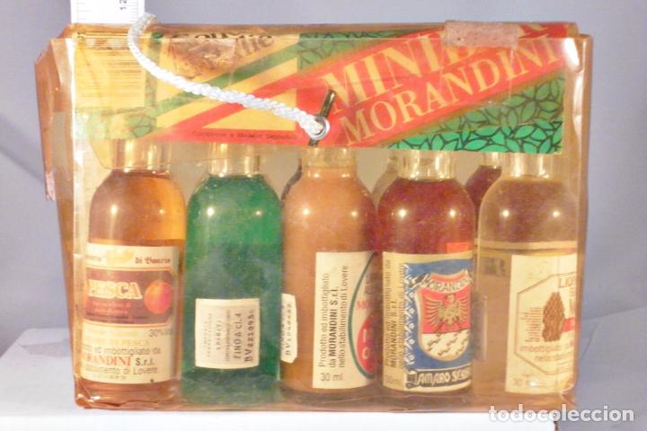 Collection of wines and liquors: BOTELLITA BOTELLIN LOTE DE 10 BOTELLINES ITALIANOS MORANDINI