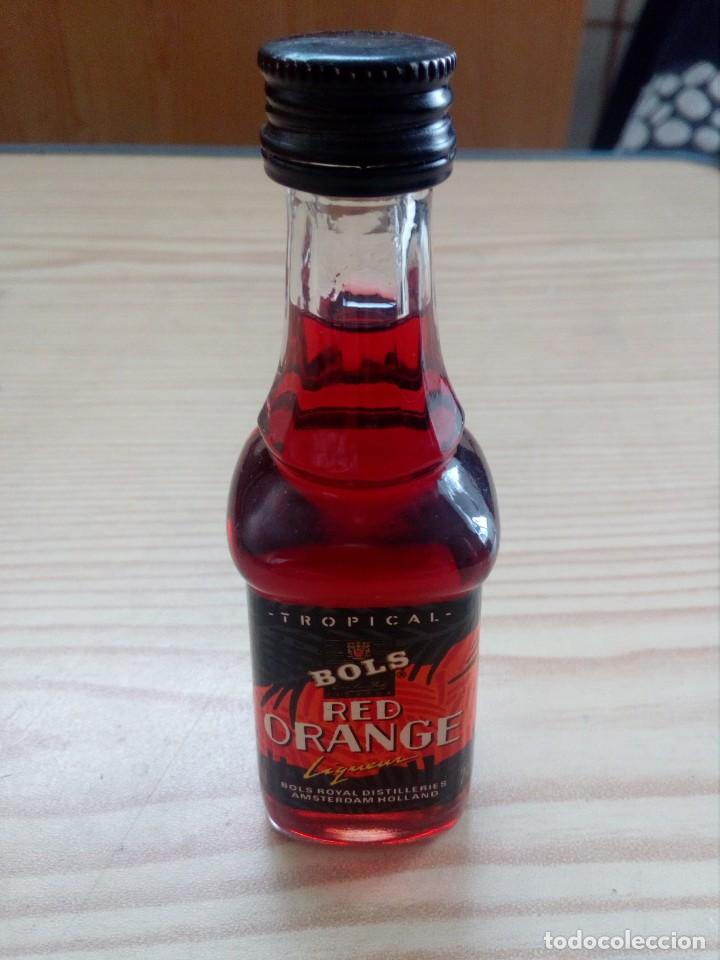 Colecionismo de vinhos e licores: Botellin Red Orange Bols Tropical