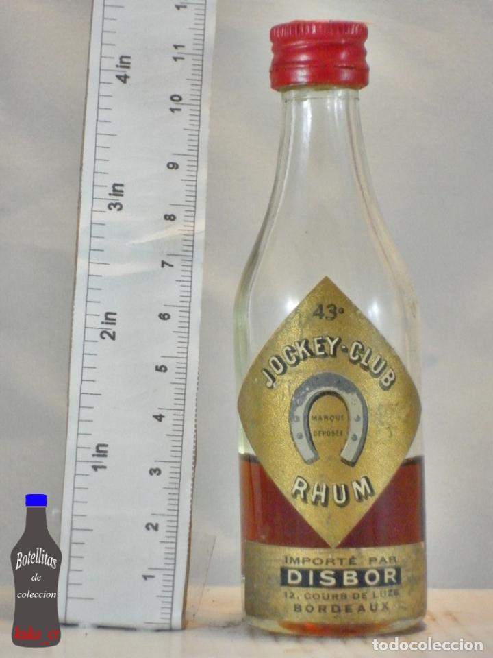 Sammlung von Weinen und Lik&ouml;ren: BOTELLITA BOTELLIN JOCKEY CLUB RHUM RON DISBOR BORDEAUX