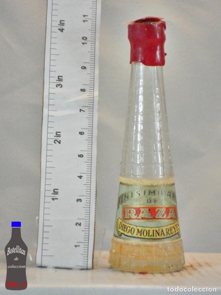 Collection of wines and liquors: BOTELLITA BOTELLIN FINISIMO ANIS DE RAZA DIEGO MOLINA REYES