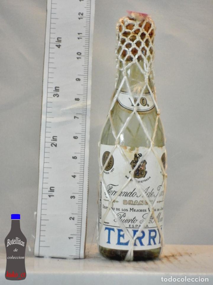 Coleccionismo de vinos y licores: BOTELLITA BOTELLIN BRANDY V.O. FERNANDO A.DE TERRY PUERTO DE SANTA MARIA