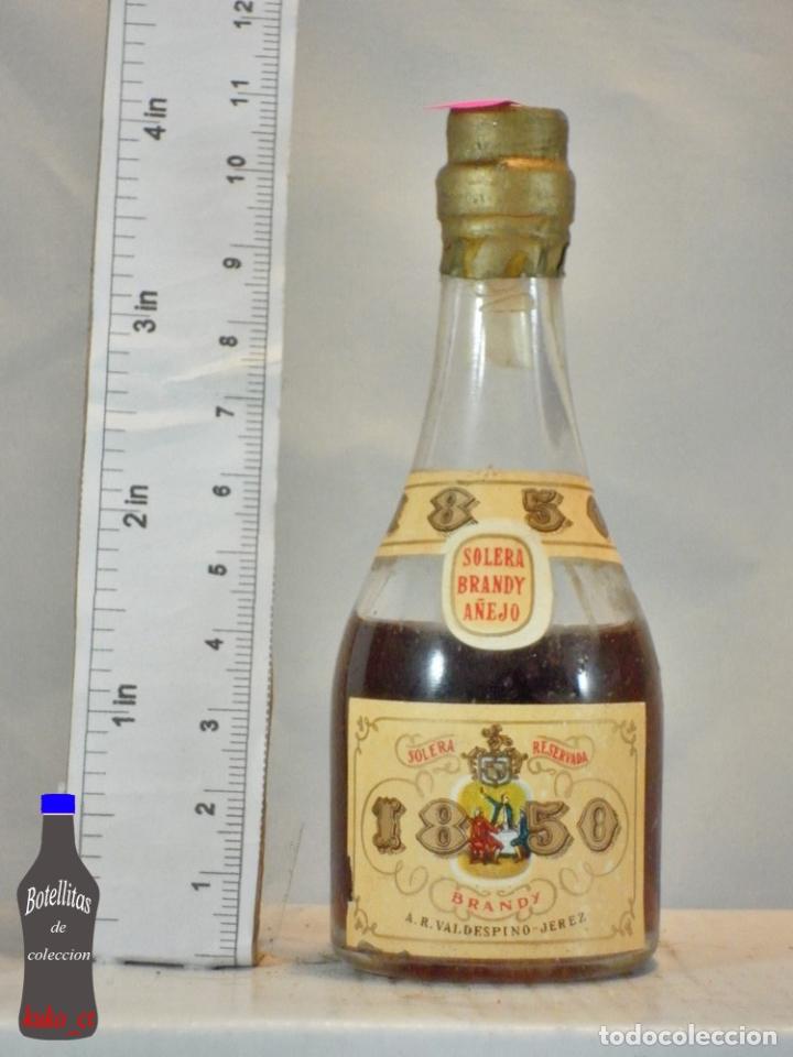 Coleccionismo de vinos y licores: BOTELLITA BOTELLIN BRANDY A&Ntilde;EJO 1850 A.R. VALDESPINO JEREZ