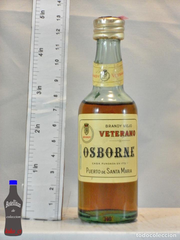 Coleccionismo de vinos y licores: BOTELLITA BOTELLIN BRANDY VIEJO VETERANO OSBORNE PUERTO DE SANTA MARIA