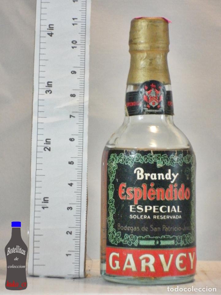 Coleccionismo de vinos y licores: BOTELLITA BOTELLIN BRANDY ESPLENDIDO ESPECIAL BODEGAS SAN PATRICIO GARVEY JEREZ