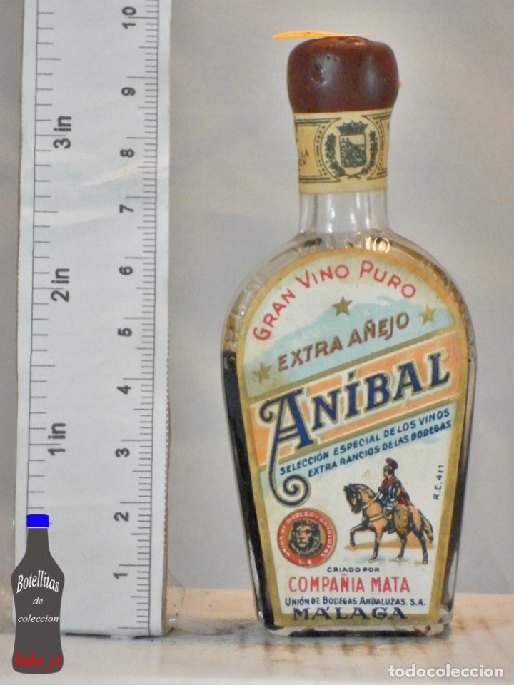 Sammlung von Weinen und Lik&ouml;ren: BOTELLITA BOTELLIN VINO ANIBAL COMPA&Ntilde;IA MATA MALAGA