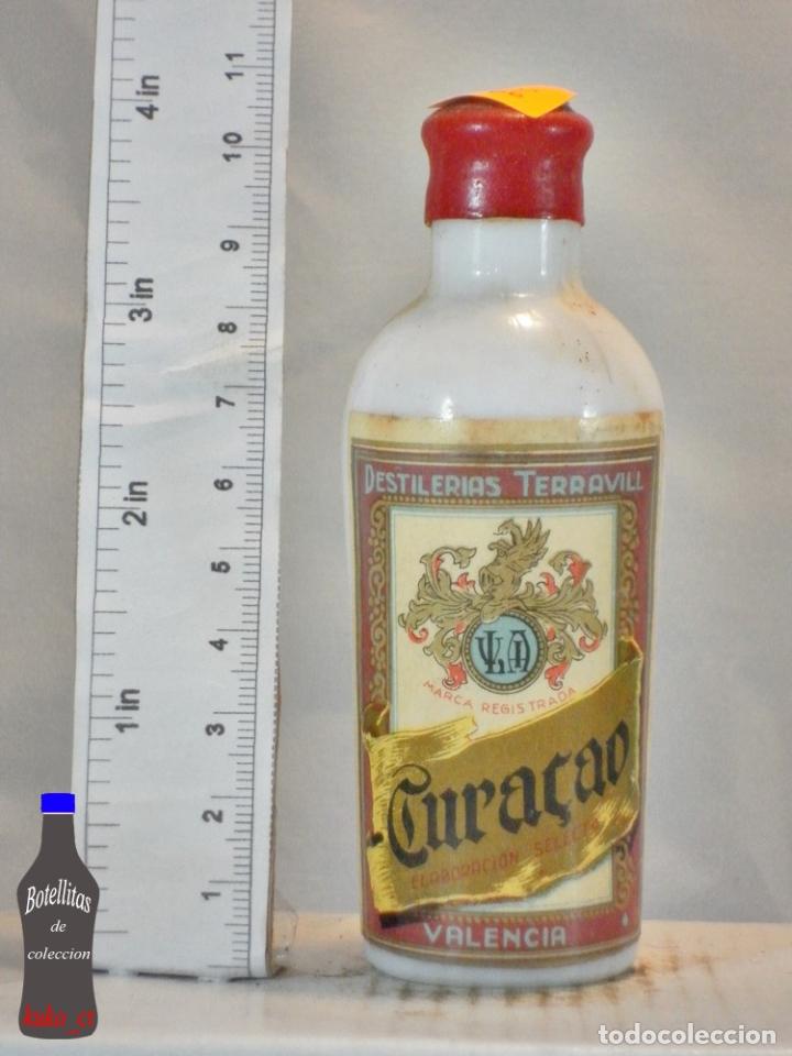 Sammlung von Weinen und Lik&ouml;ren: BOTELLITA BOTELLIN CURACAO DESTILERIAS TERRAVILL VALENCIA