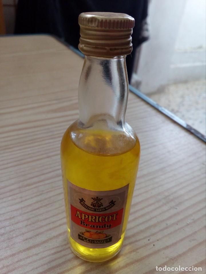 Colecionismo de vinhos e licores: Botellin Apricot Brandy Santa Maria