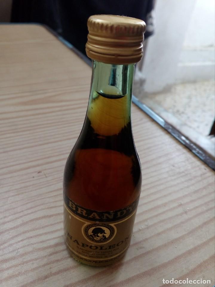 Colecionismo de vinhos e licores: Botellin Brandy Napoleon Antonio Nadal