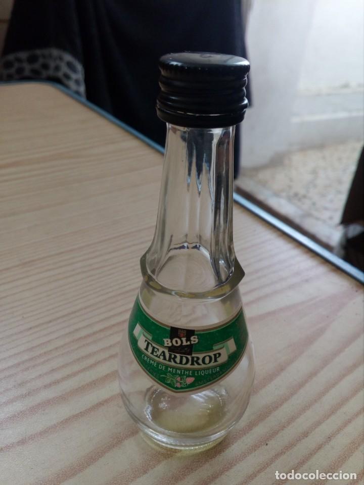 Coleccionismo de vinos y licores: Botellin Bols Teardrop Menta - Evaporacion